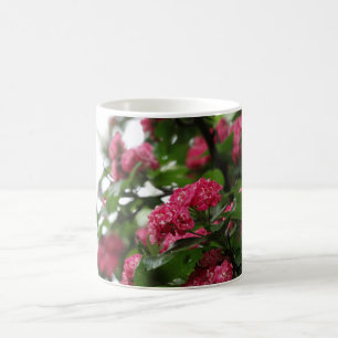 Taza De Café Mug de fotos en árbol de flores rosas