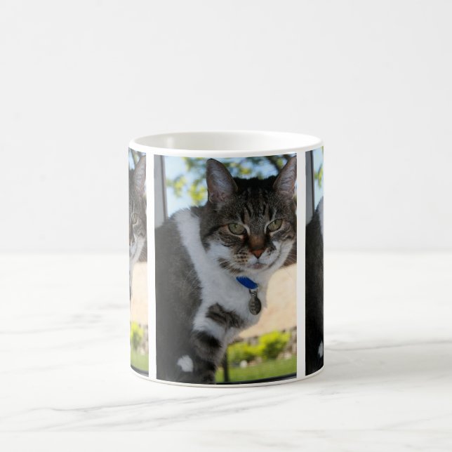 Taza De Café Mug de gato de tabby suave (Centro)