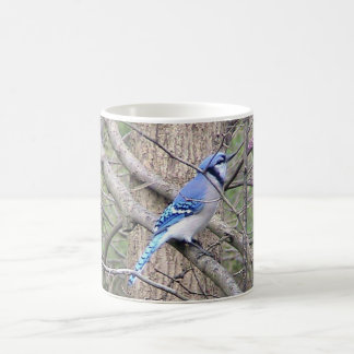 Taza De Café Mug de Jay azul (Ohio)