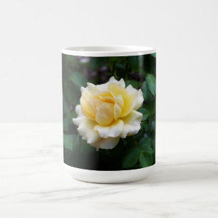 Taza De Café Mug de rosa blanca