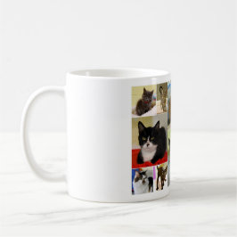 Taza De Café Mug. del grupo del gato