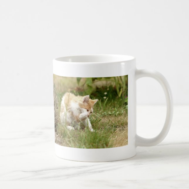 Taza De Café Mug. foto del gato callejero , gato tazón de café (Derecha)
