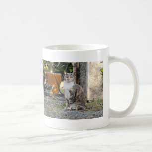 Taza De Café Mug. foto del gato callejero , gato tazón de café