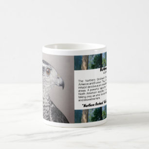 Taza De Café Mug Goshawk