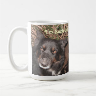 Taza De Café Mug Husky Collie Cross