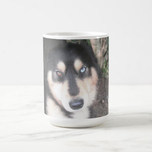 Taza De Café Mug Husky Un Ojo Azul Un Ojo Marrón