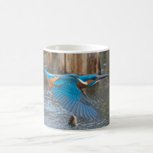 Taza De Café Mug. Kingfisher