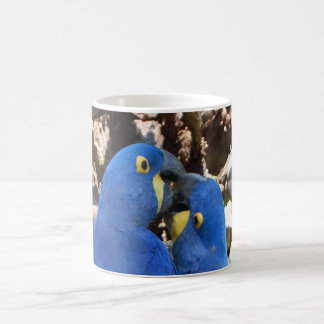 Taza De Café mug _ loros