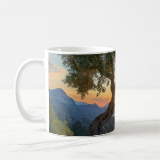 Taza De Café Mug, olivo, puesta de sol, con vistas al mar.