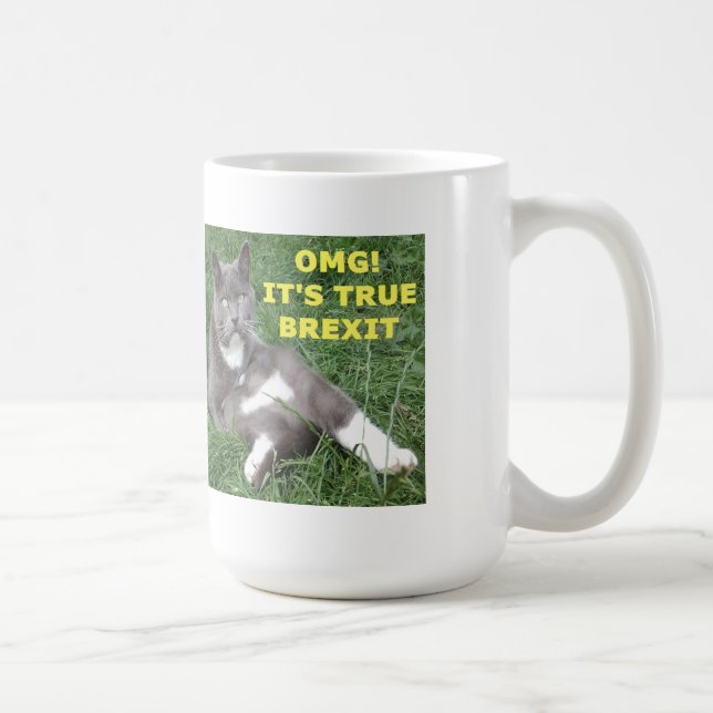 Taza De Café Mug OMG Su Verdadero Brexit (Derecha)