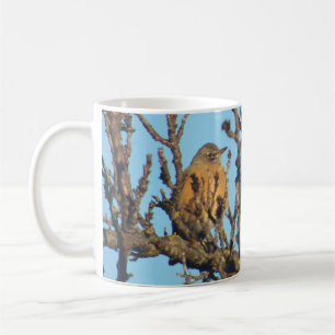 Taza De Café Mug - Robin en las ramas desnudas