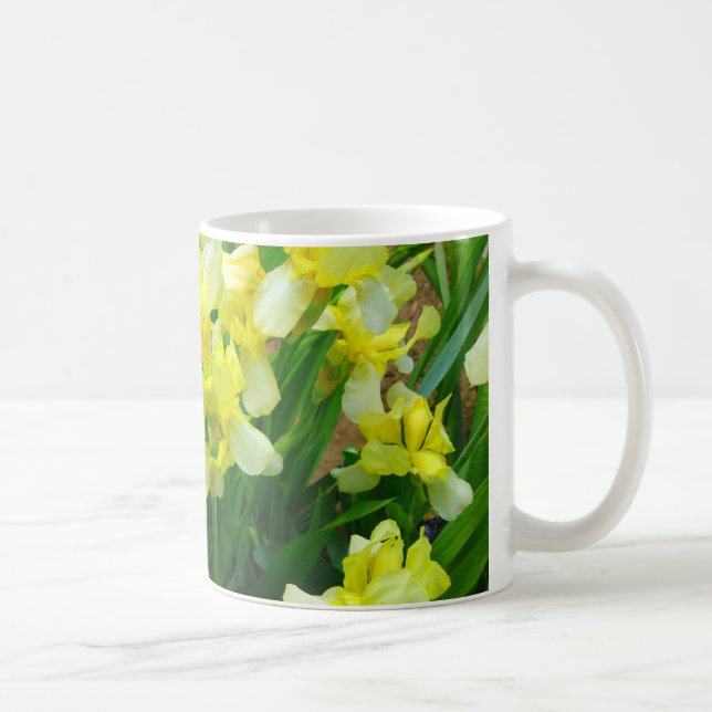 Taza De Café Mugre amarillo de flores de Iris (Derecha)
