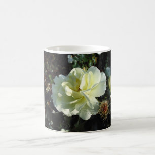 Taza De Café Mugre blanca