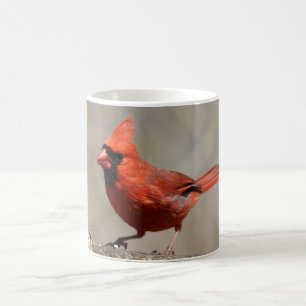 Taza De Café Mugre cardinal