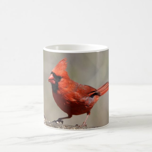 Taza De Café Mugre cardinal (Centro)