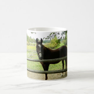 Taza De Café Mugre de caballo feliz