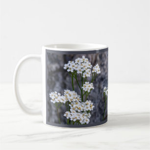 Taza De Café Mugre de flecha común