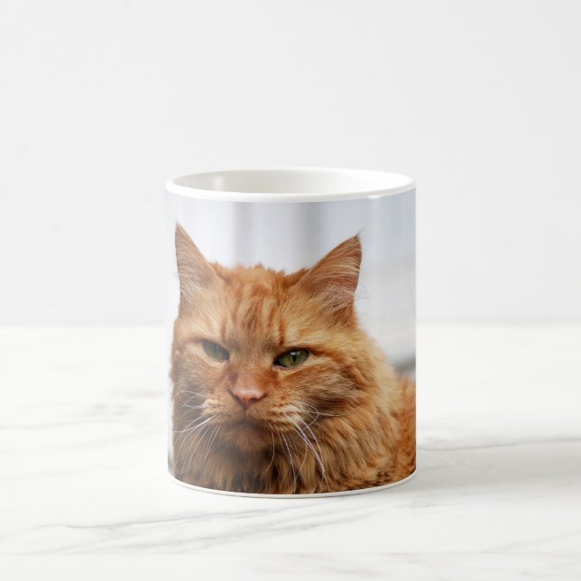 Taza De Café Mugre de gato forestal noruego (Centro)