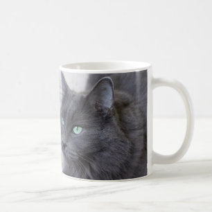 Taza De Café Mugre de gato gris