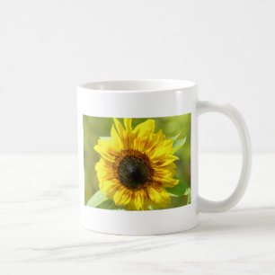 Taza De Café Mugre de girasol