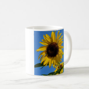 Taza De Café Mugre de girasol
