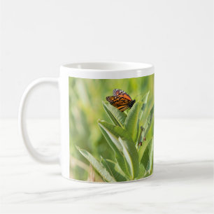 Taza De Café Mugre de mariposa monarca