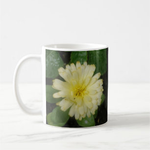 Taza De Café Mugre de oro marino amarillo pequeño
