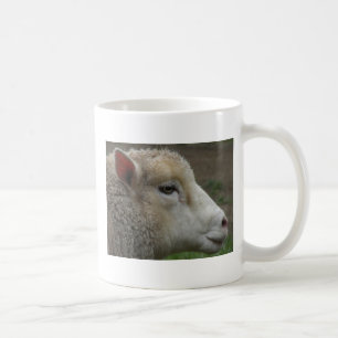 Taza De Café Mugre de ovino blanco