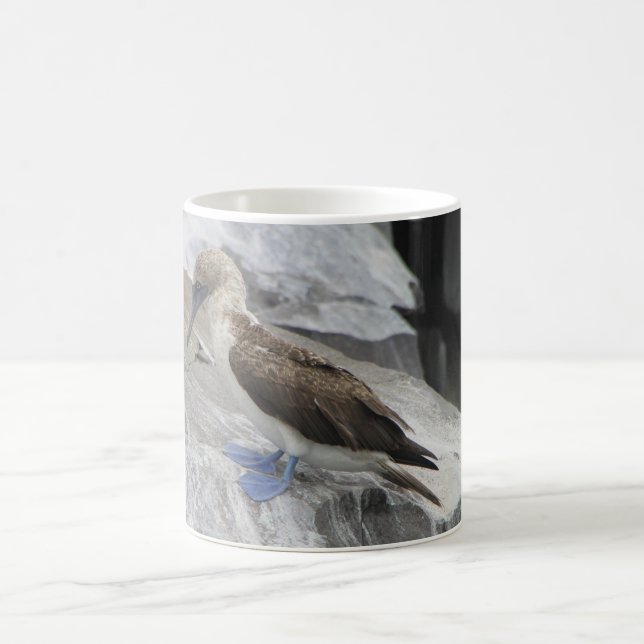 Taza De Café Mugre de pájaro (Centro)