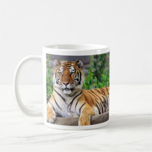 Taza De Café Mugre tigre siberiano