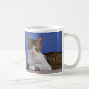 Taza De Café Mugs de gato