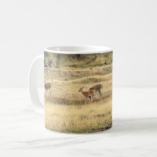 Taza De Café Mule Deer en un campo, Joseph, Oregón