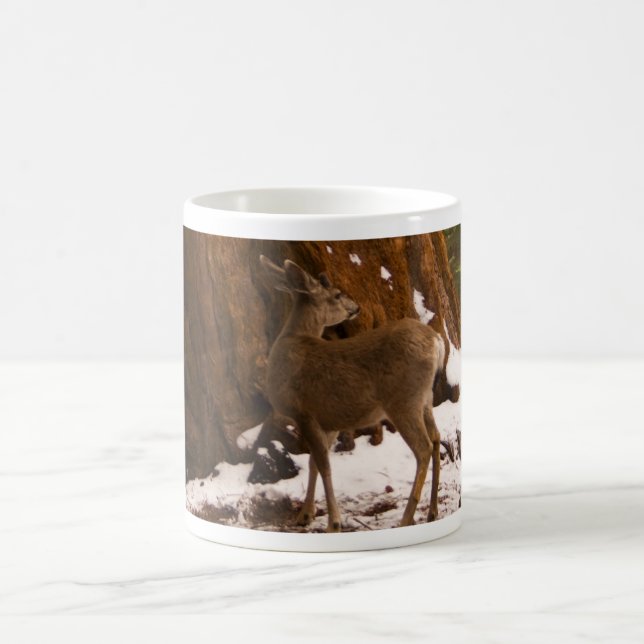 Taza De Café Mule Deer Mug (Centro)