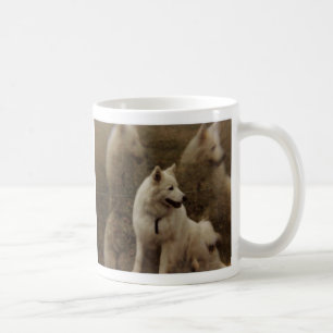 Taza De Café Multi-imagen del samoyedo, multi-imagen del
