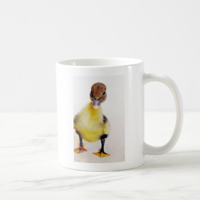 Taza De Café Muscovy Duckin (Derecha)