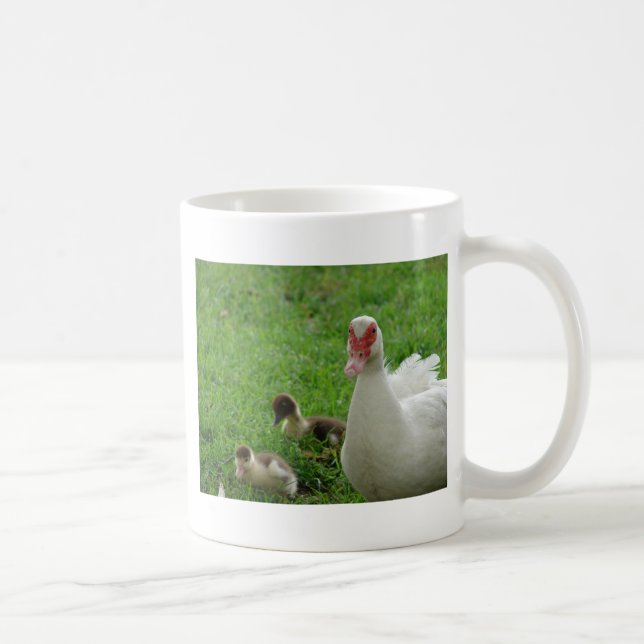 Taza De Café Muscovy Hen Y Ducklings (Derecha)