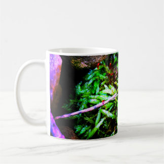 Taza De Café Musgo en rocas