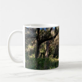 Taza De Café Musgo español iluminado por el sol