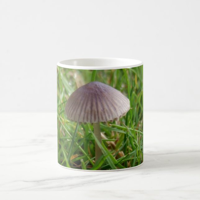 Taza De Café Mushroom Mug (Centro)