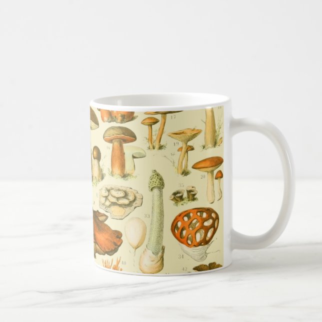 Taza De Café Mushroom Vintage Toadstool Ilustracion antiguo (Derecha)