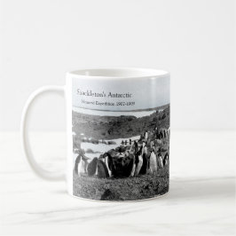 Taza De Café Música del gramófono del Nimrod de Shackleton para