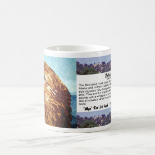 Taza De Café Mya - Mug Hawk de cola roja