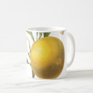 Taza De Café naranja (Citrus sp.) de Redouté Coffee Mug