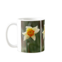 Naranja de primavera Daffodil Mug
