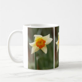 Taza De Café Naranja de primavera Daffodil Mug