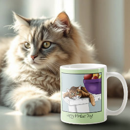 Taza De Café Naranja del Día de la Madre Tabby Cat