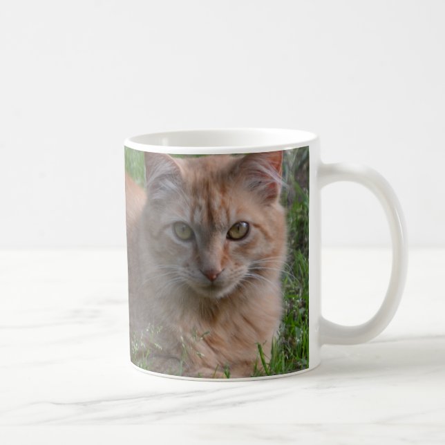 Taza De Café Naranja del gato de Tabby (Derecha)