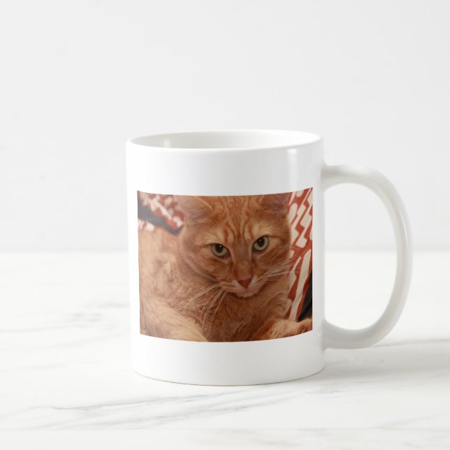 Taza De Café Naranja Tabby (Derecha)