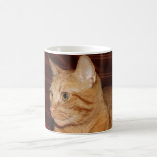 Taza De Café Naranja Tabby Cat Face Profile