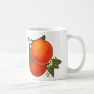 Taza De Café Naranjas Vintage Crate Art Coffee Mug